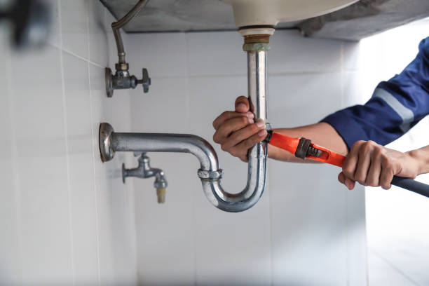Best Drain Cleaning Services  in Sheldon, IL