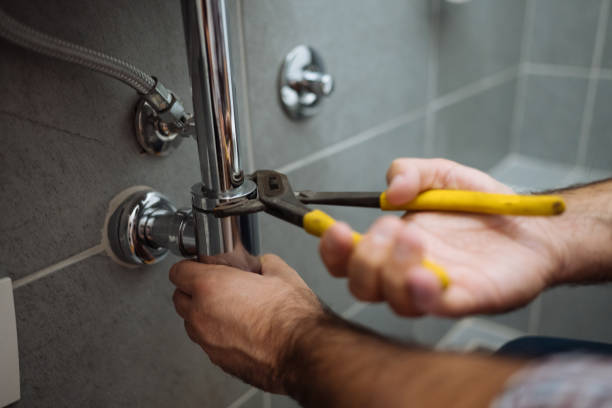 Best Same-Day Plumbing Service  in Sheldon, IL